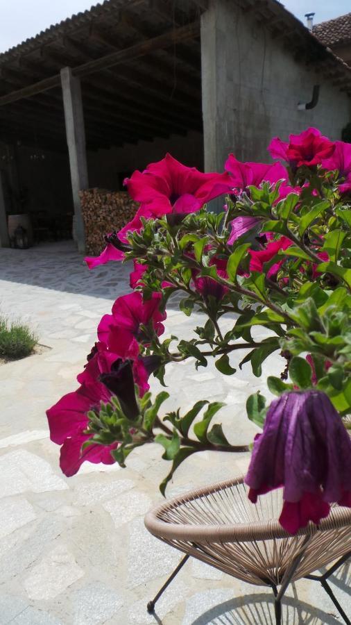 Sotto La Vigna Charm Stay Adults Only Vacation Suite Appartment Montegrosso dʼAsti Extérieur photo