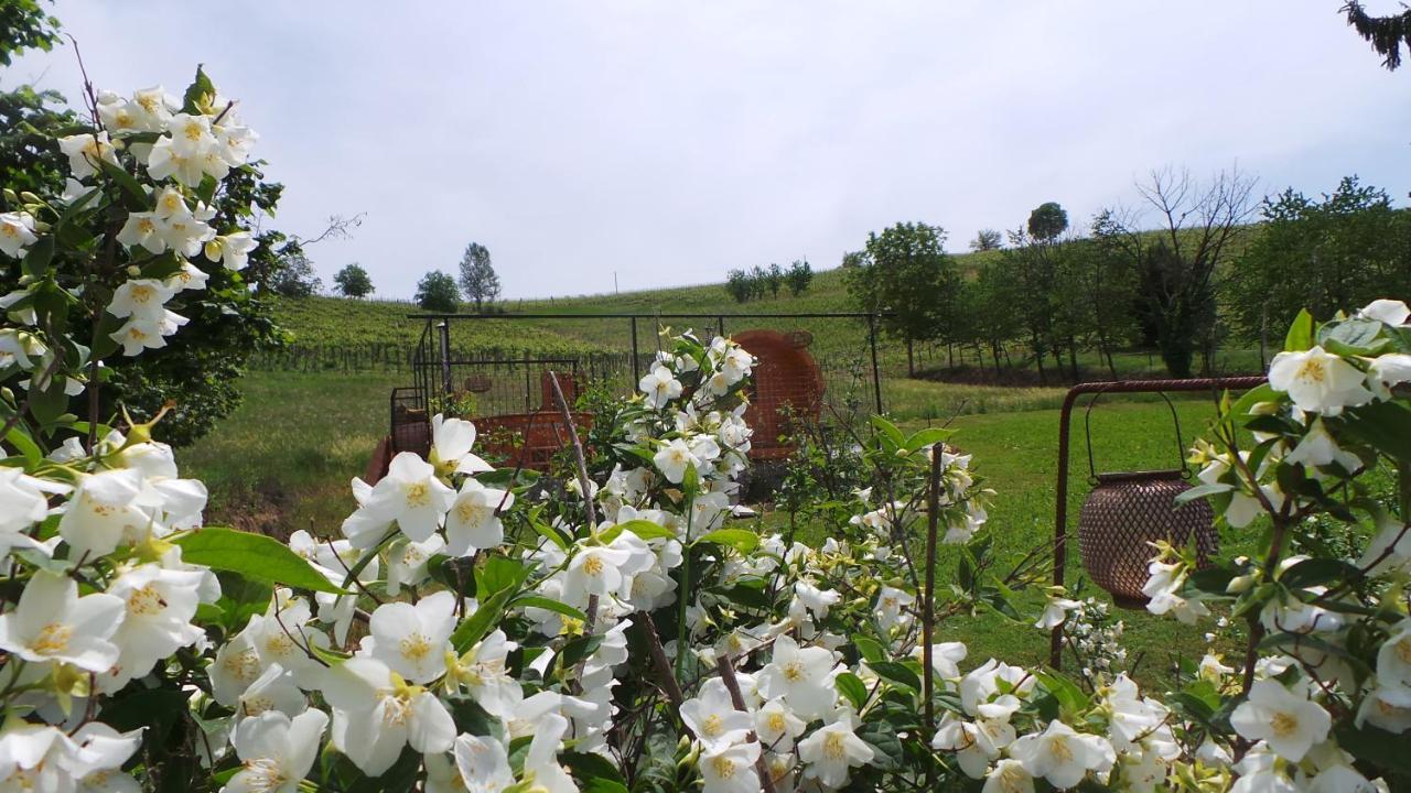 Sotto La Vigna Charm Stay Adults Only Vacation Suite Appartment Montegrosso dʼAsti Extérieur photo